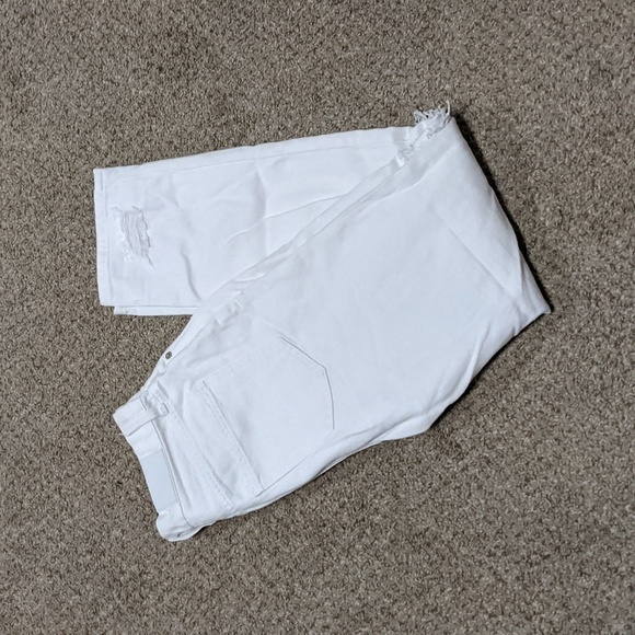 PISTOLA Straight Jeans - Picture 7 of 7